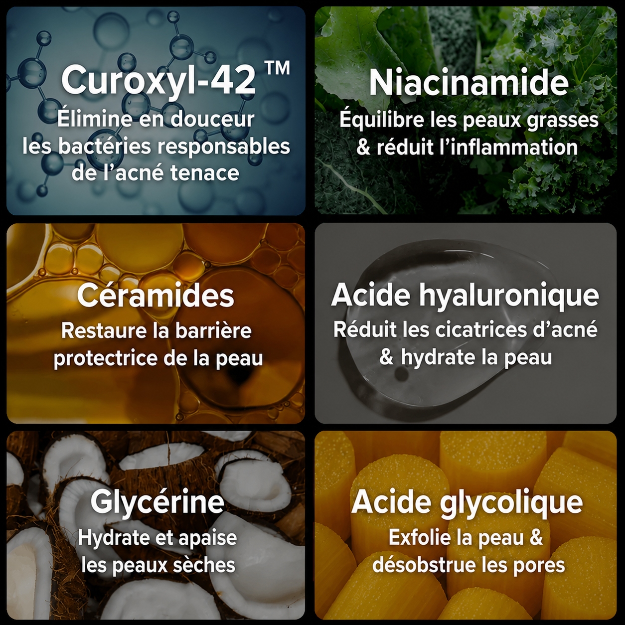 Les meilleurs ingrédients